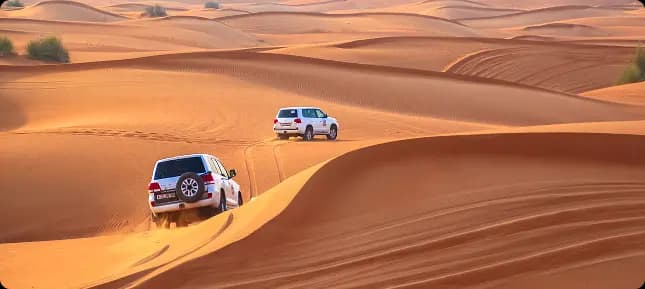 Bangkok skyline night